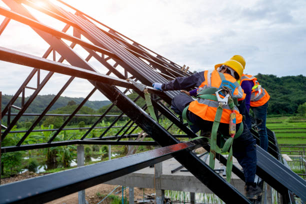 Best Roof Gutter Cleaning  in Hemby Bridge, NC