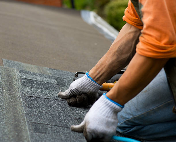 Best Roof Gutter Cleaning  in Hemby Bridge, NC
